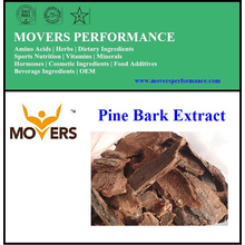 High Quality Natural Supply Pine Bark Extract